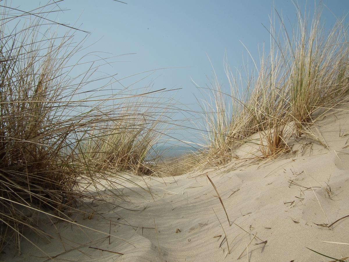 Hollumerstrand Hollum  Buitenkant foto
